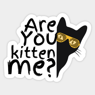 R u kitten me? Sticker